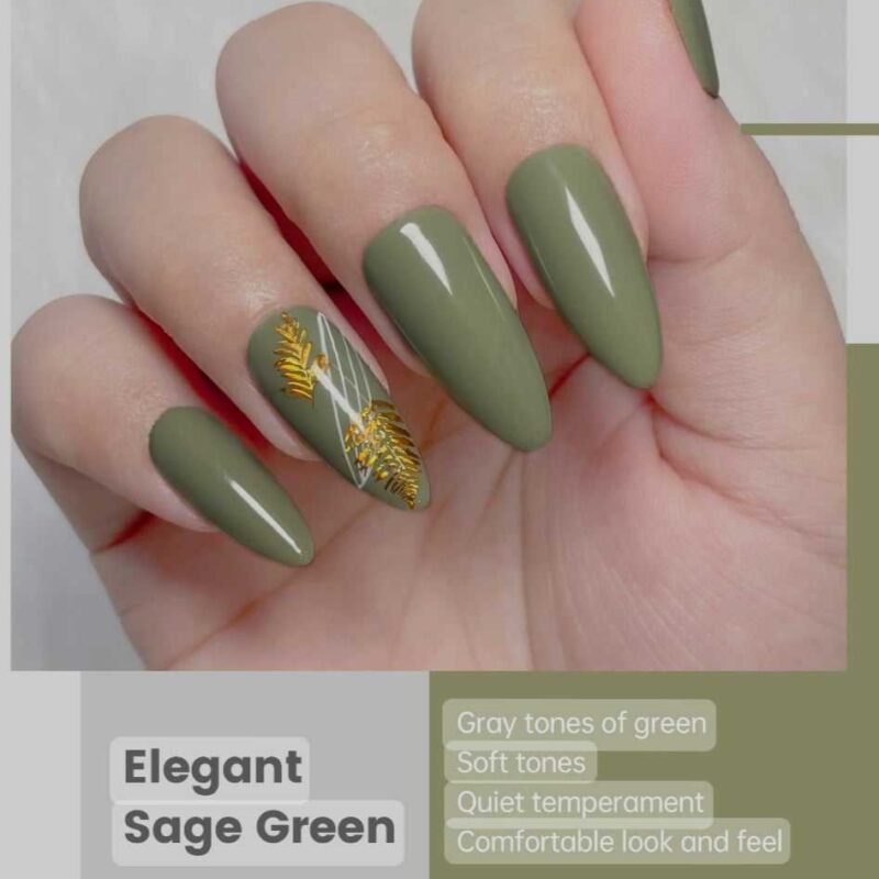 432513721_2463781123808310_6372050294672040463_n